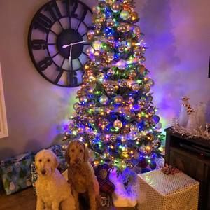 Meet your Posher, Cathy